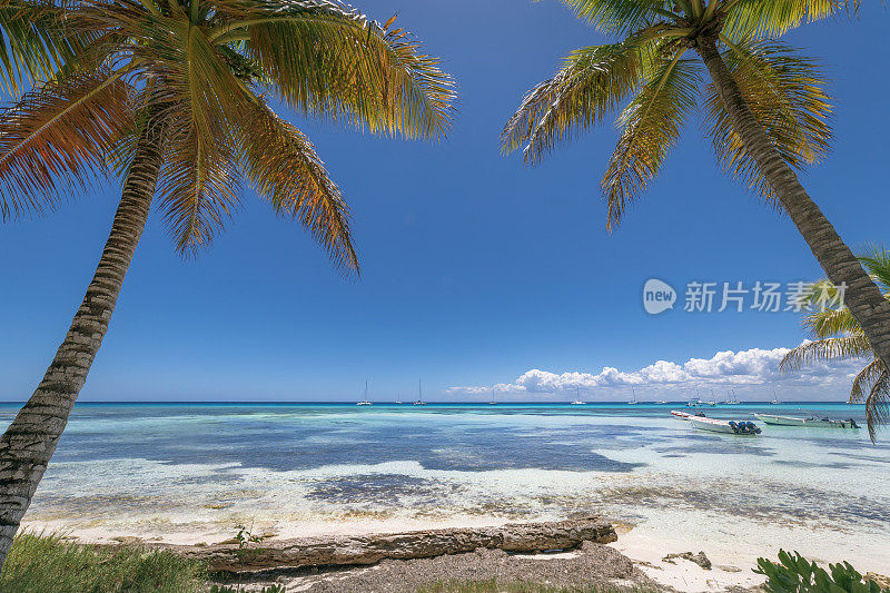 夏日天堂:热带海滩与船- Saona岛，加勒比海